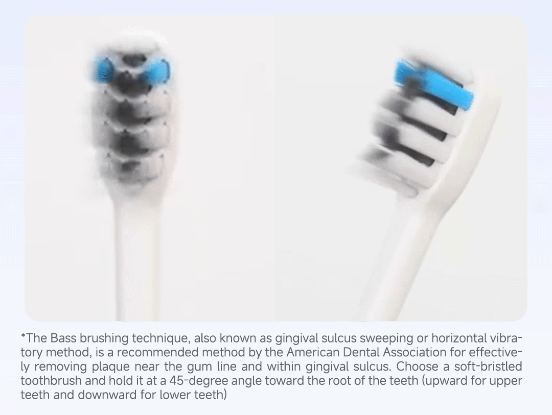 DOCOLAB Sonic Electric Toothbrush 3Gear Vibration Rechargeable Waterproof Teeth Whitening Cleaning Personal Care Appliance MT001